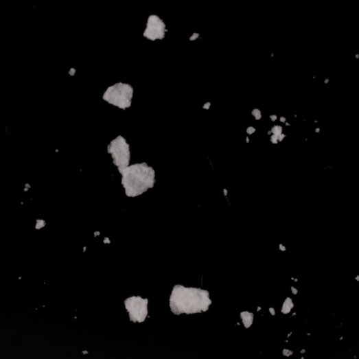 Kokain und Norkokain, verunreinigt mit Benzoylecgonin, 12.12.2023 (Berlin)